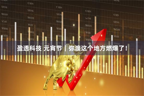 盈透科技 元宵节｜弥渡这个地方燃爆了！