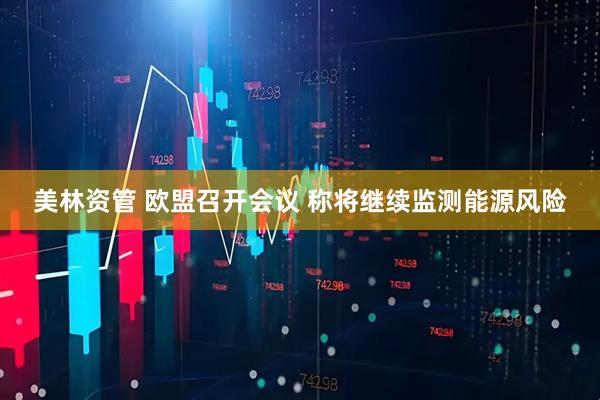 美林资管 欧盟召开会议 称将继续监测能源风险