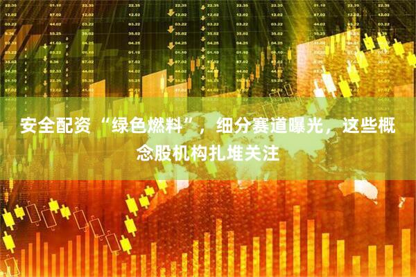 安全配资 “绿色燃料”，细分赛道曝光，这些概念股机构扎堆关注
