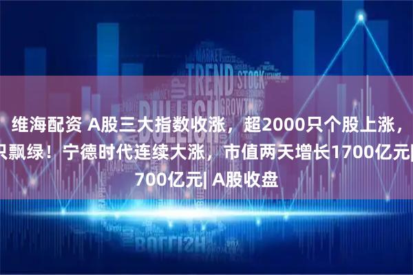 维海配资 A股三大指数收涨，超2000只个股上涨，3000多只飘绿！宁德时代连续大涨，市值两天增长1700亿元| A股收盘