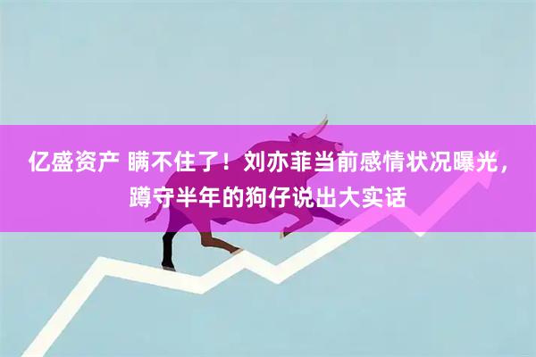 亿盛资产 瞒不住了！刘亦菲当前感情状况曝光，蹲守半年的狗仔说出大实话