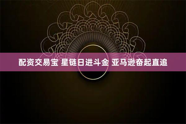 配资交易宝 星链日进斗金 亚马逊奋起直追