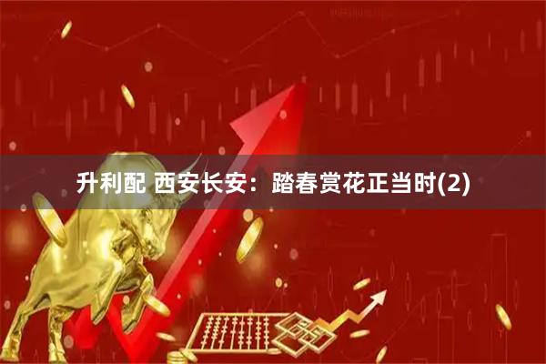 升利配 西安长安：踏春赏花正当时(2)