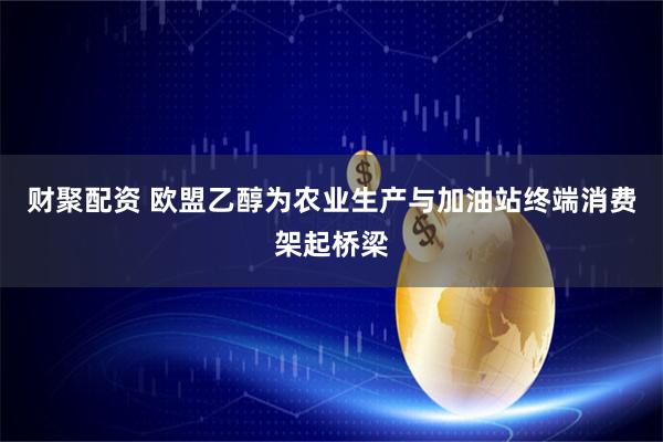 财聚配资 欧盟乙醇为农业生产与加油站终端消费架起桥梁