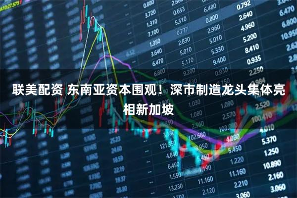 联美配资 东南亚资本围观！深市制造龙头集体亮相新加坡