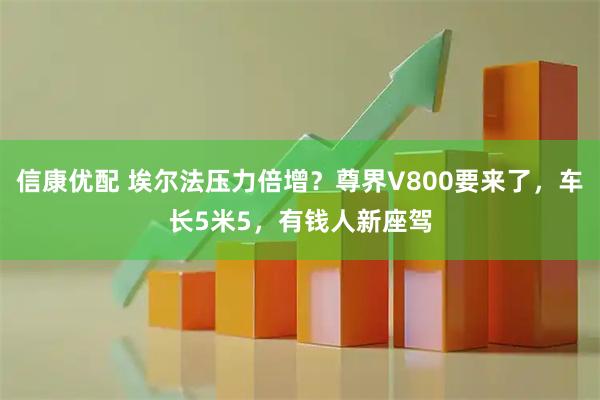 信康优配 埃尔法压力倍增？尊界V800要来了，车长5米5，有钱人新座驾