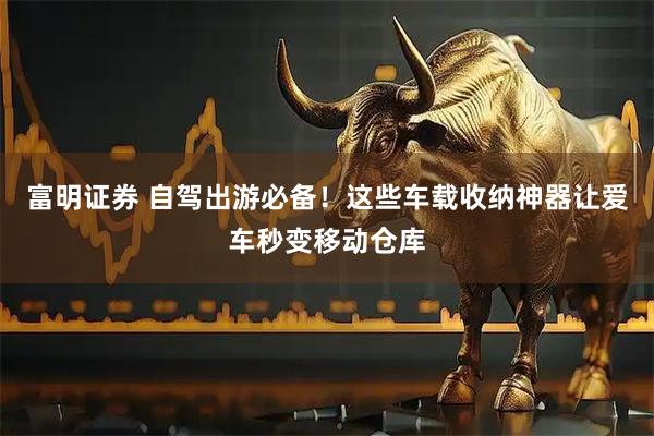 富明证券 自驾出游必备！这些车载收纳神器让爱车秒变移动仓库