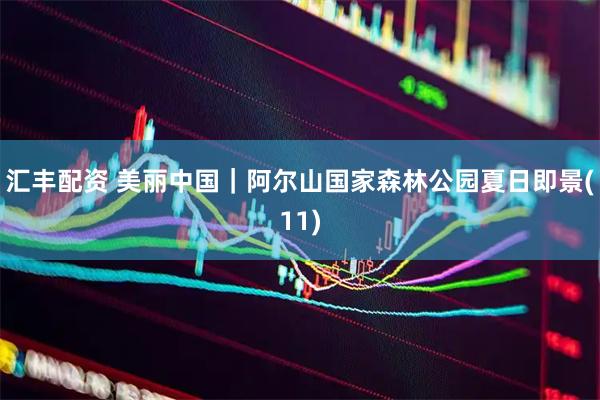 汇丰配资 美丽中国｜阿尔山国家森林公园夏日即景(11)