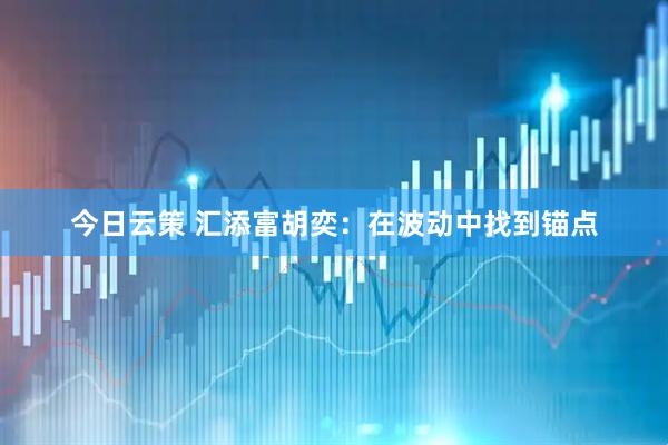 今日云策 汇添富胡奕：在波动中找到锚点
