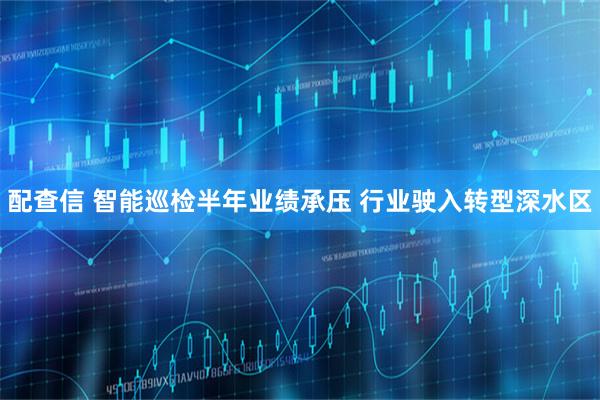 配查信 智能巡检半年业绩承压 行业驶入转型深水区