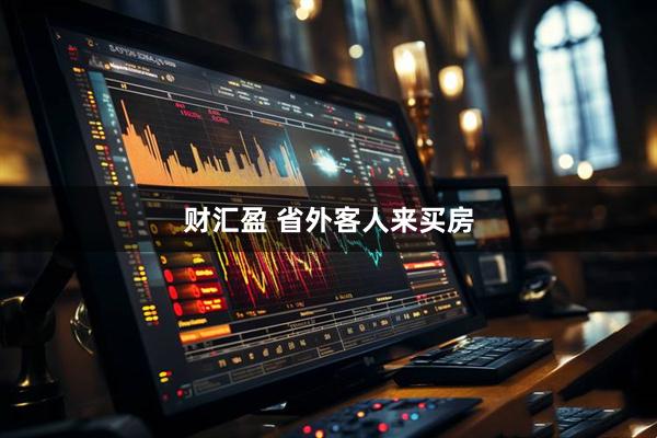 财汇盈 省外客人来买房