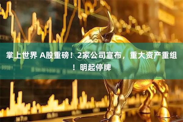 掌上世界 A股重磅！2家公司宣布，重大资产重组！明起停牌