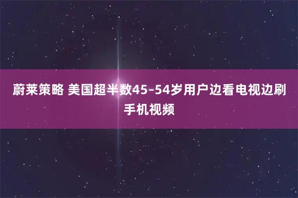 蔚莱策略 美国超半数45–54岁用户边看电视边刷手机视频