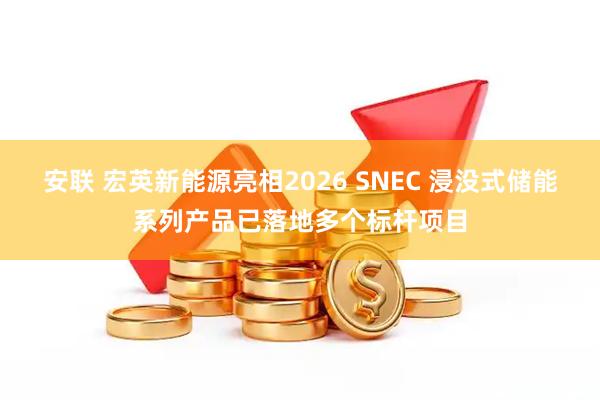 安联 宏英新能源亮相2026 SNEC 浸没式储能系列产品已落地多个标杆项目