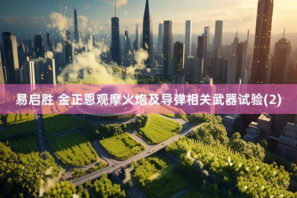 易启胜 金正恩观摩火炮及导弹相关武器试验(2)