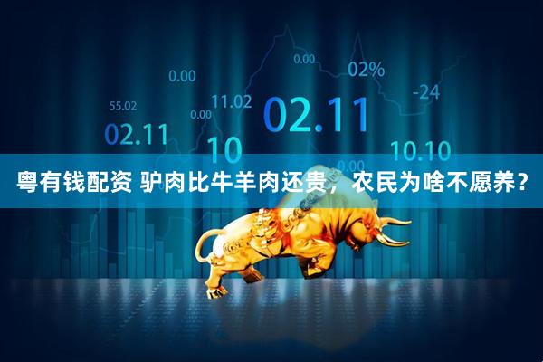 粤有钱配资 驴肉比牛羊肉还贵，农民为啥不愿养？