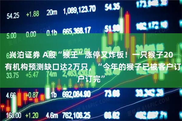 兴泊证券 A股“猴王”涨停又炸板！一只猴子20万，有机构预测缺口达2万只，“今年的猴子已被客户订完”